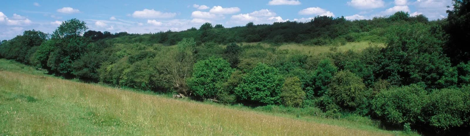 Glyme Valley Nature Reserve - Image 1