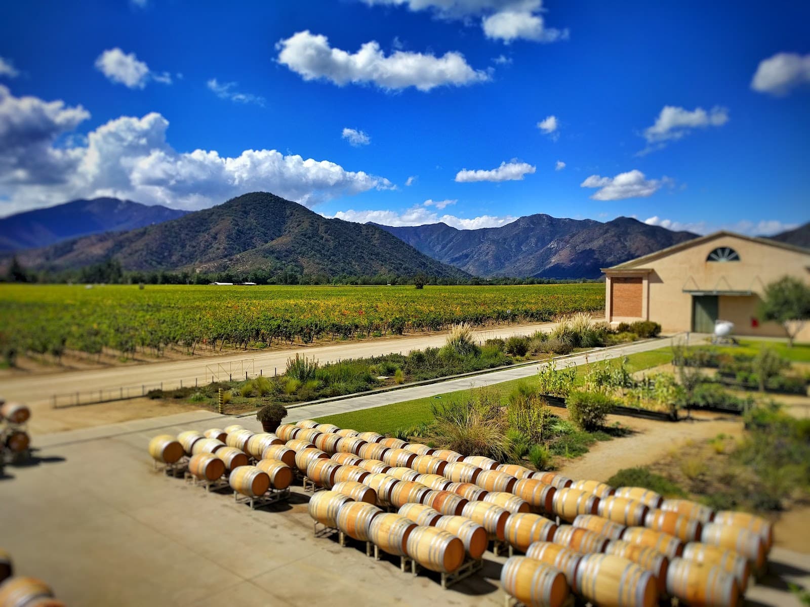 Veramonte Winery - Image 1