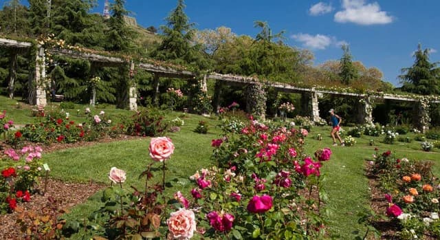 Parc de Cervantes - Image 1