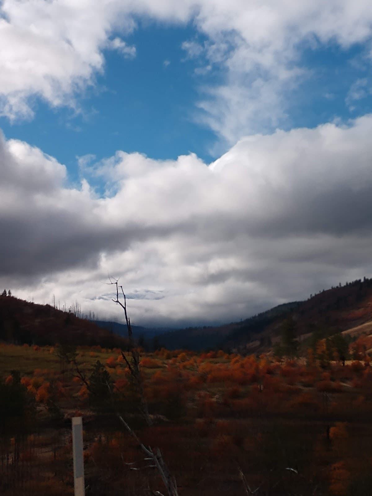 Satus Pass Viewpoint - Image 1