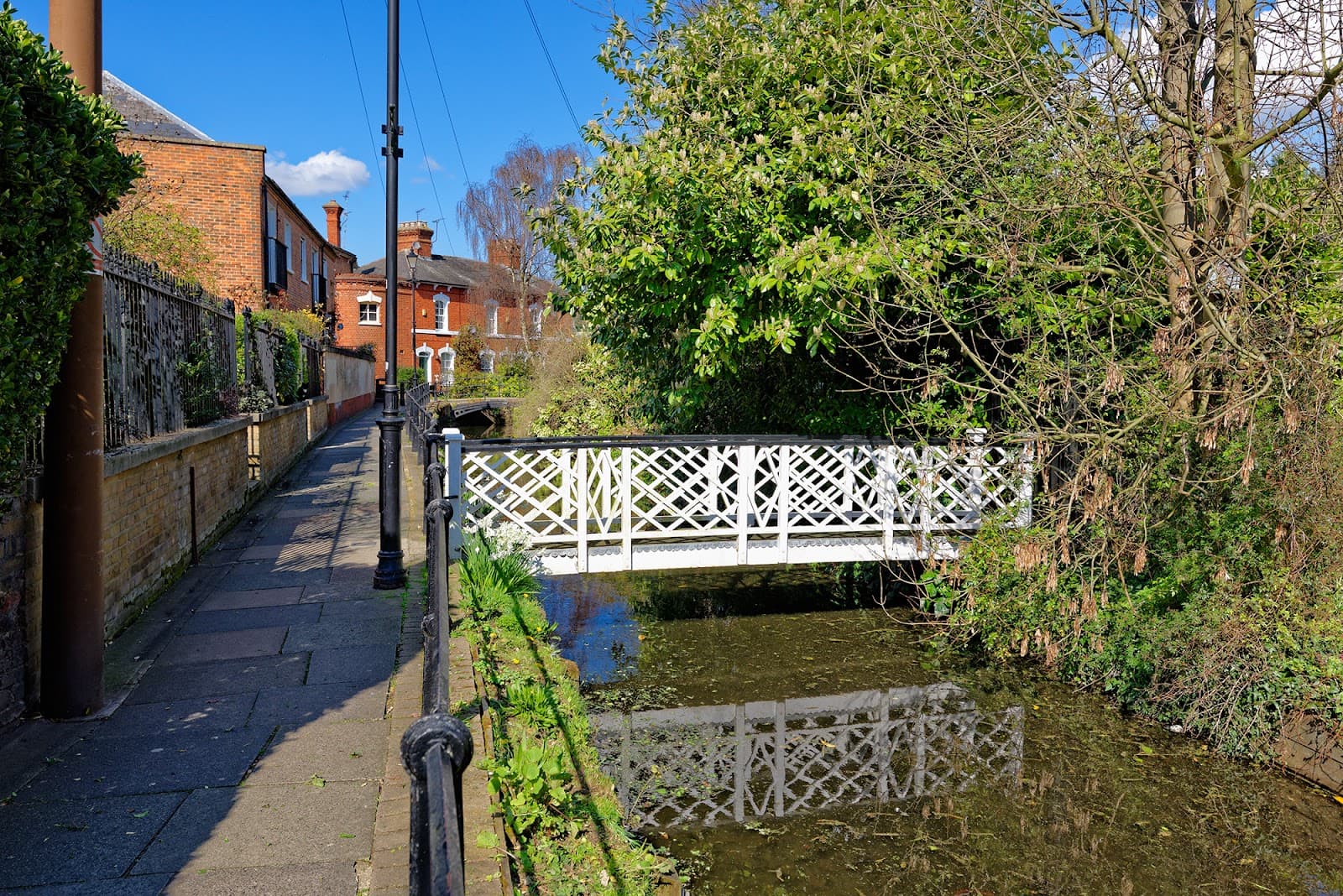 Gentleman's Row - Image 1