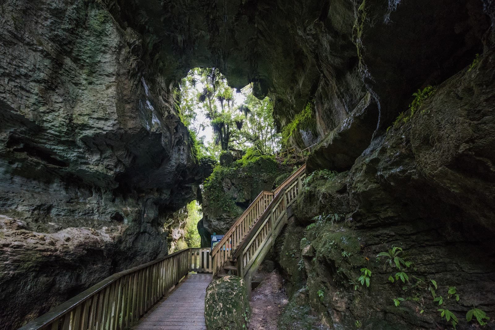 Mangapohue Natural Bridge - Image 1