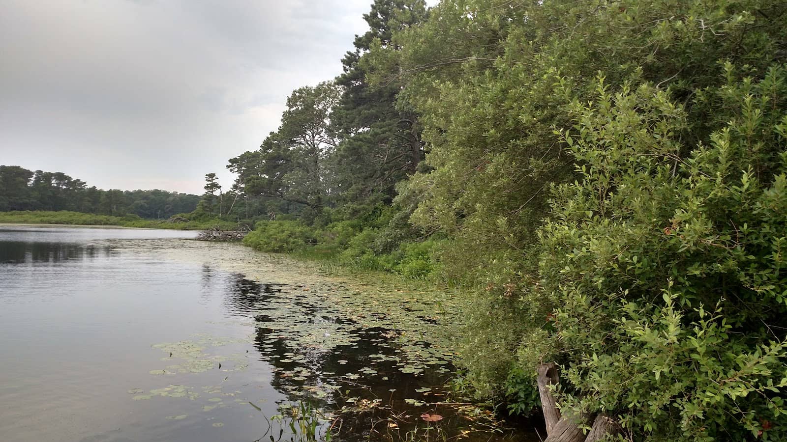 Abundant Wildlife Sightings