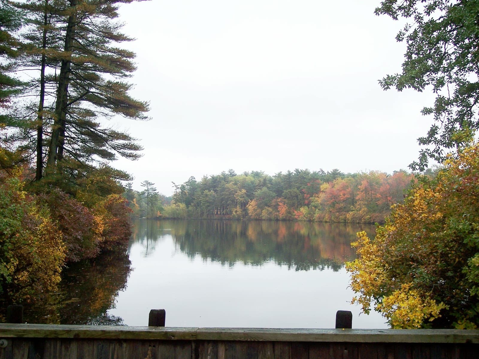 Ocean County Park - Image 1