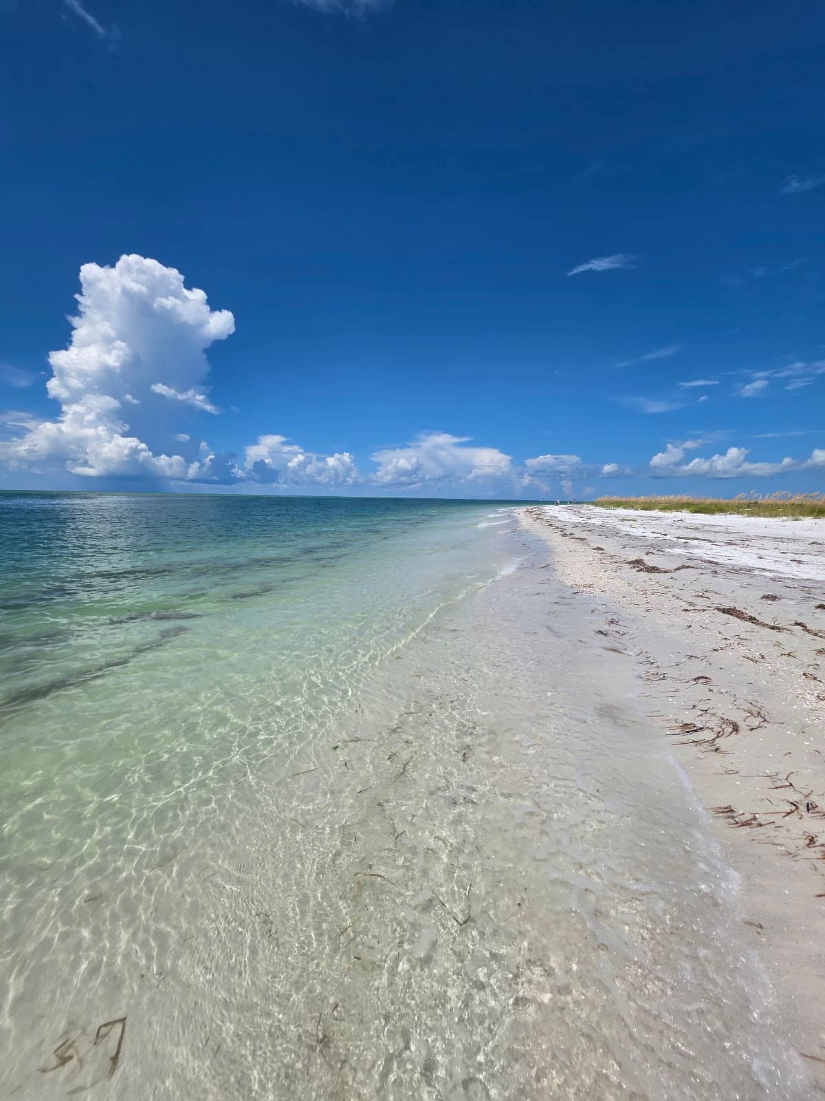 Kayaking & Paddleboarding Paradise