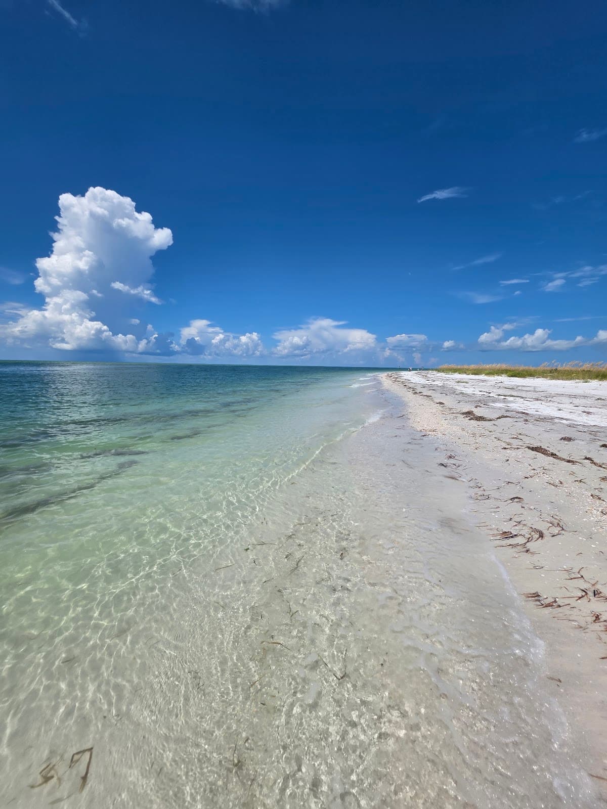 Shell Key Preserve St. Pete Beach - Image 1