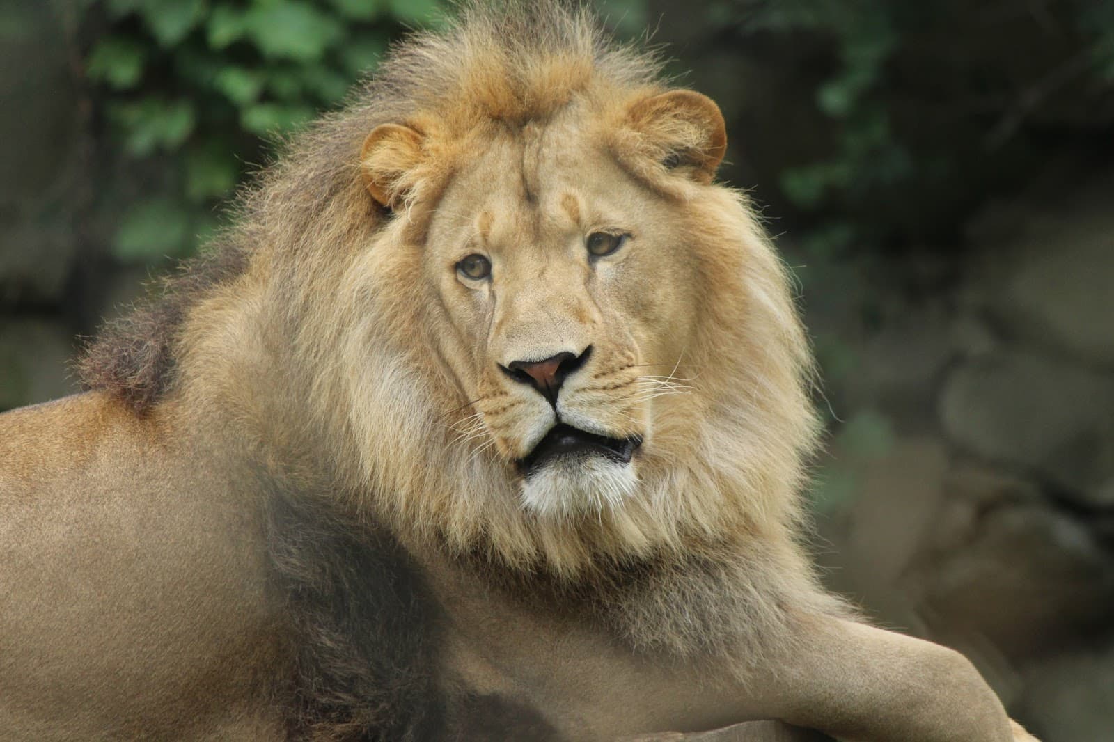 Southwick's Zoo - Image 1