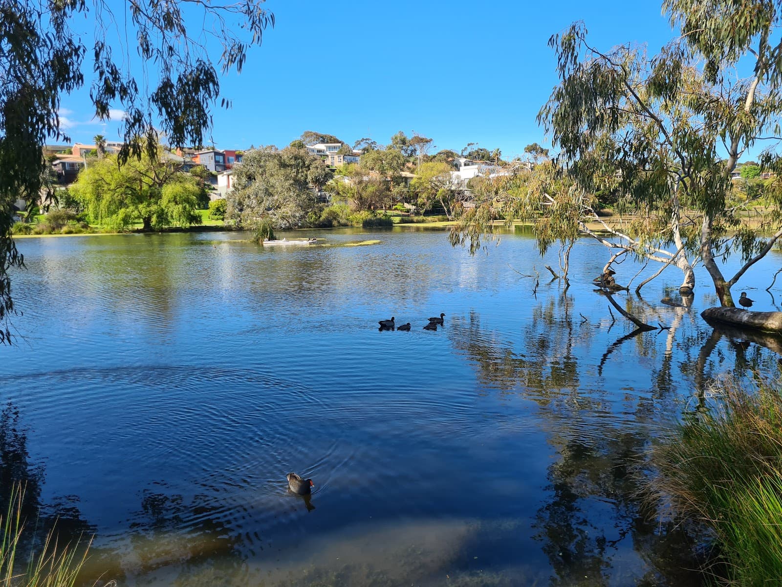 Blue Waters Lake - Image 1