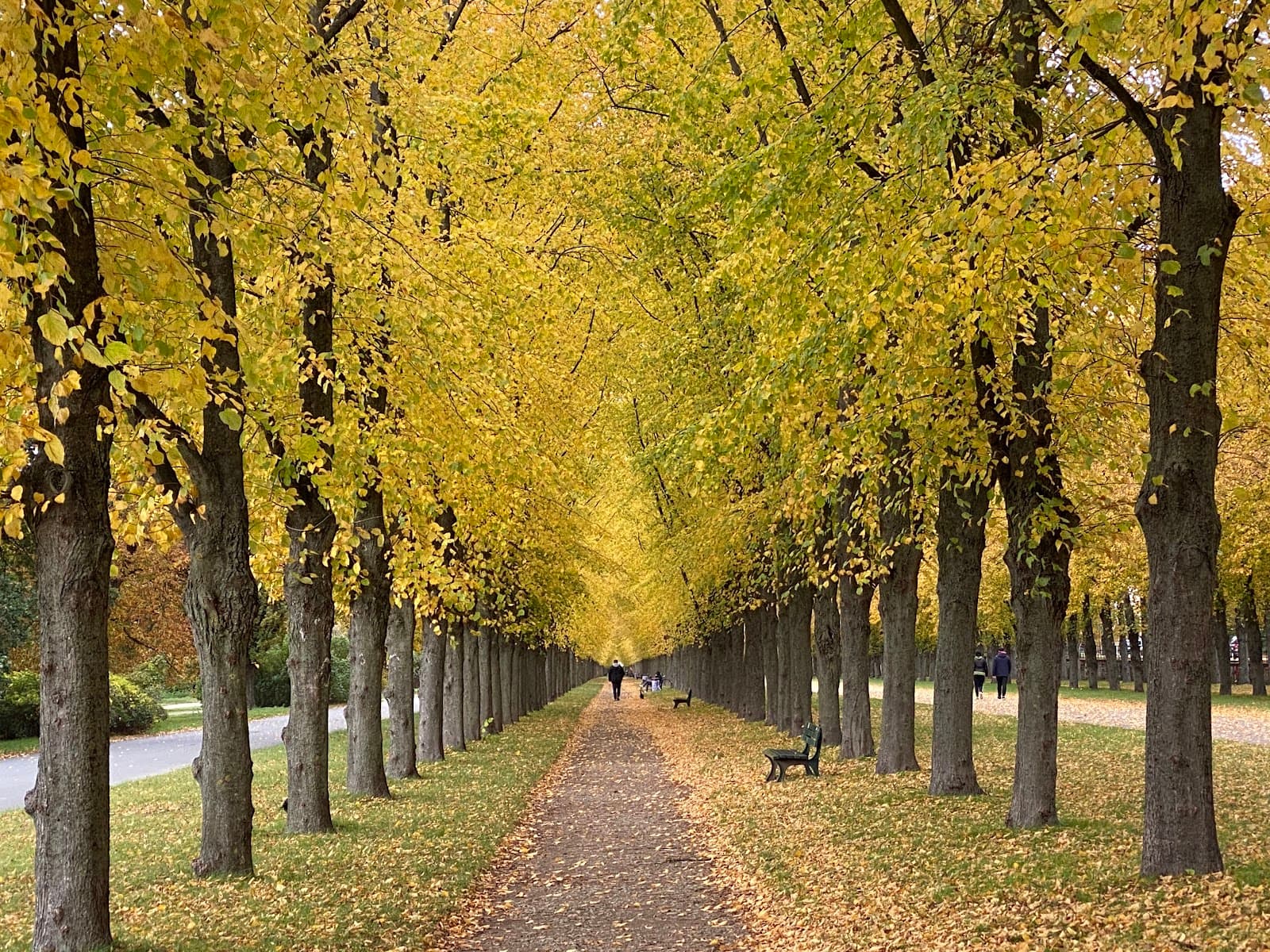 Georgengarten Hannover - Image 1