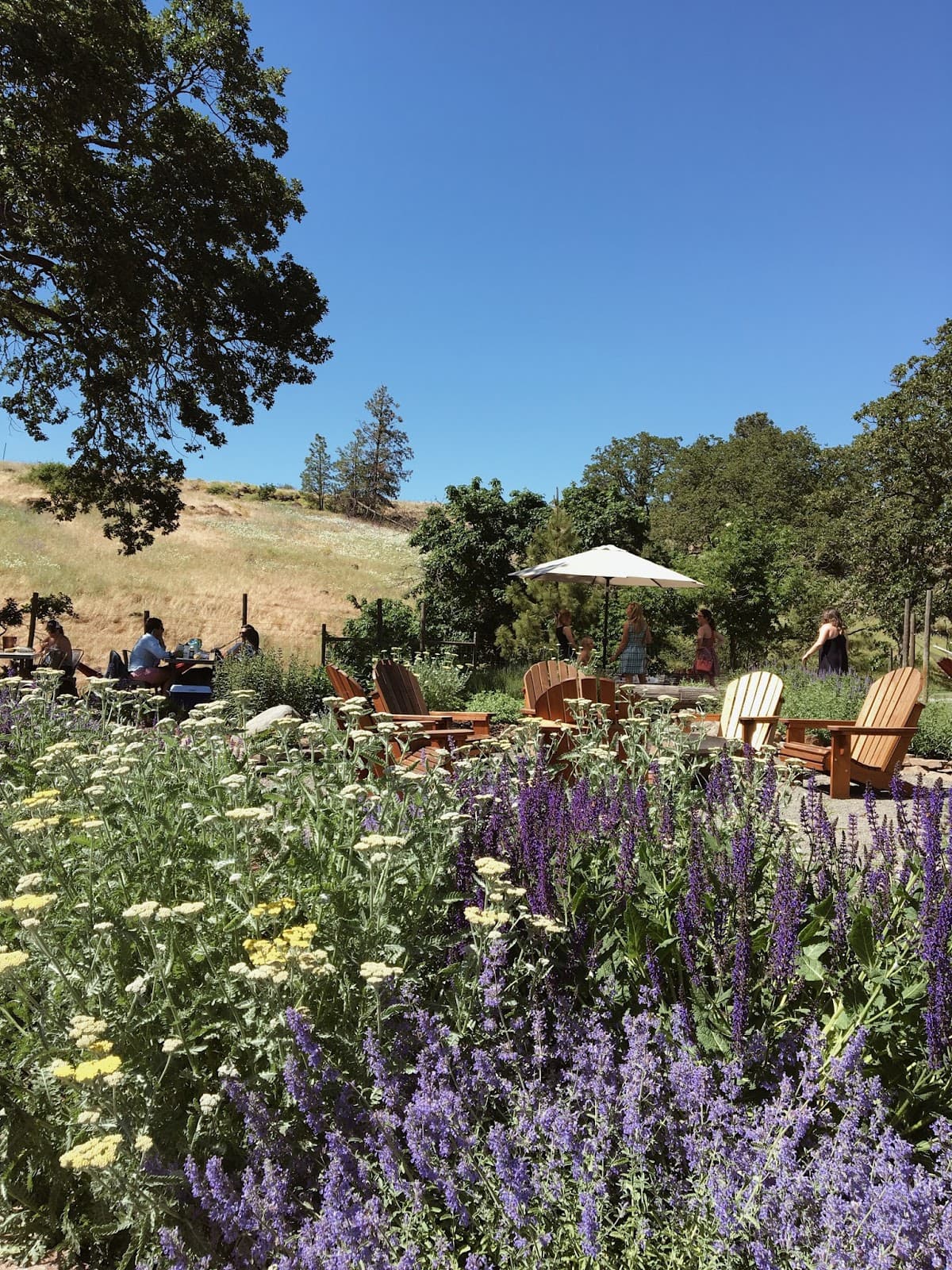 Syncline Winery - Image 1