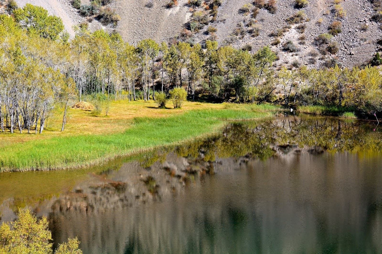 Five Springs Mountain Park - Image 1