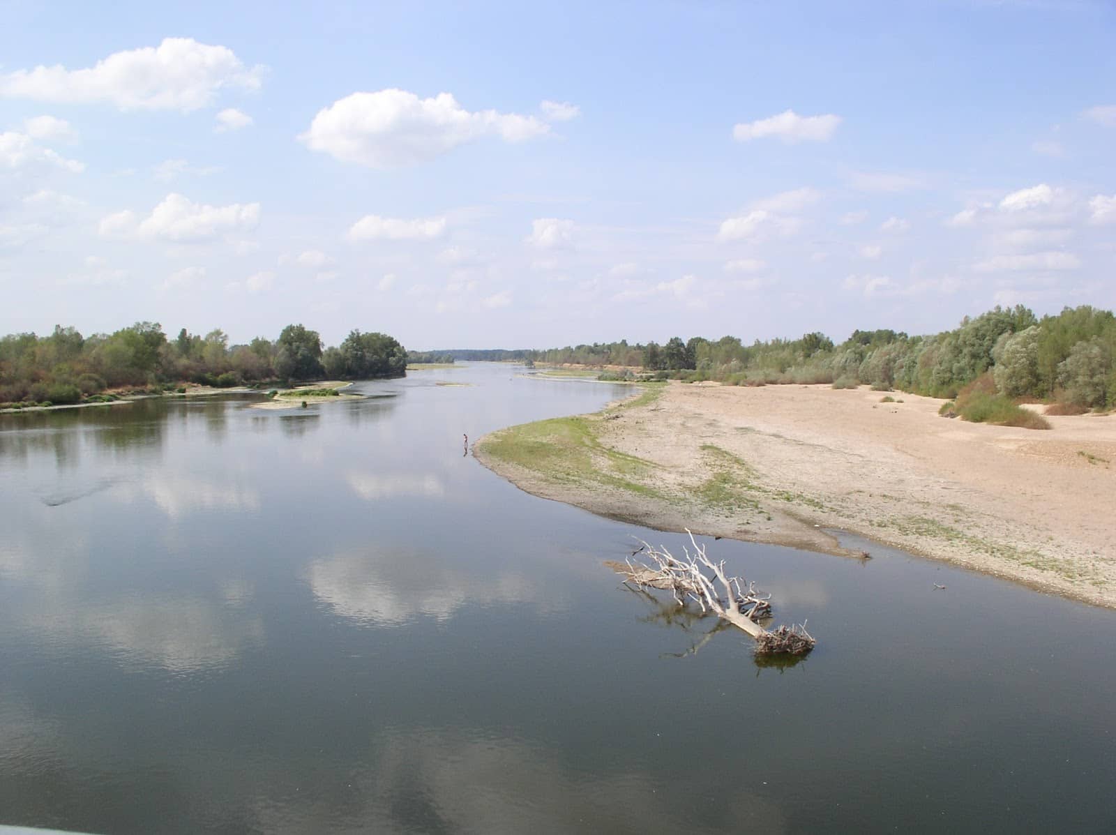 Local Event Information