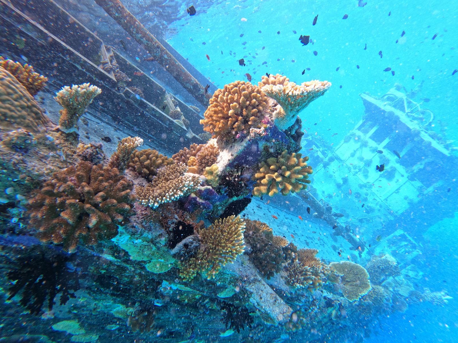 Keyodhoo Shipwreck Vaavu - Image 1