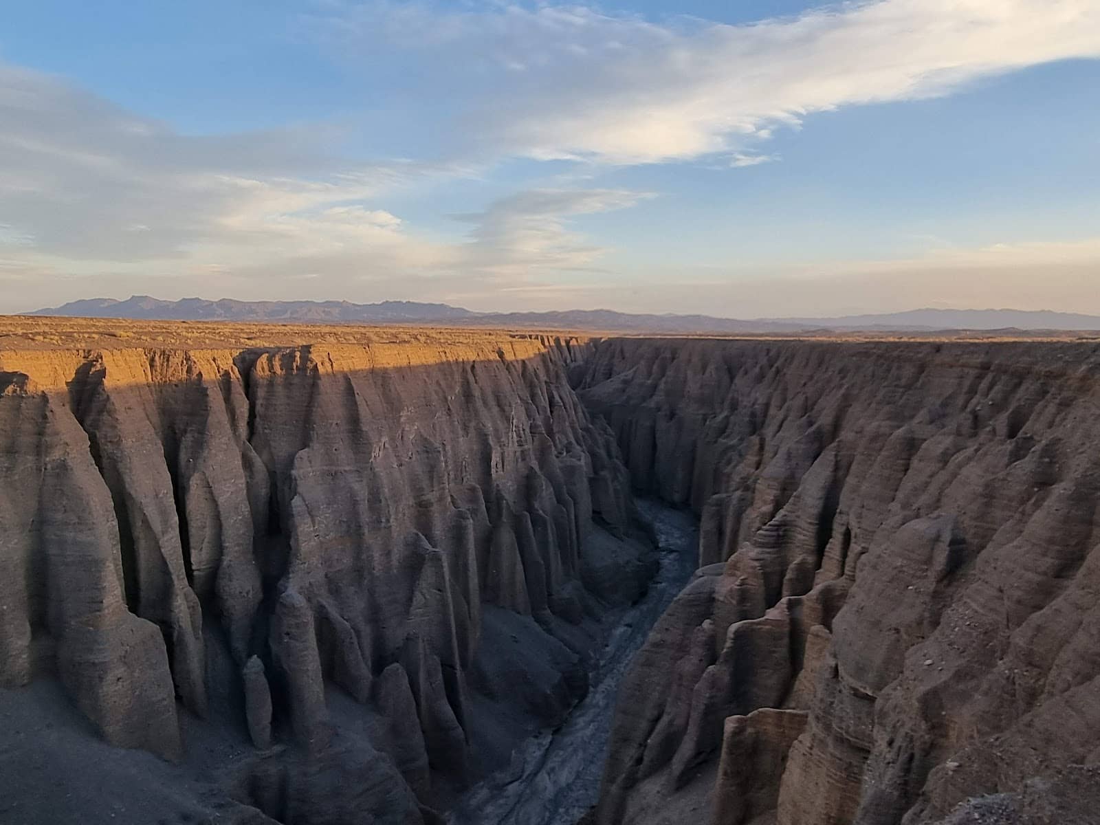 Bird Watching Opportunities