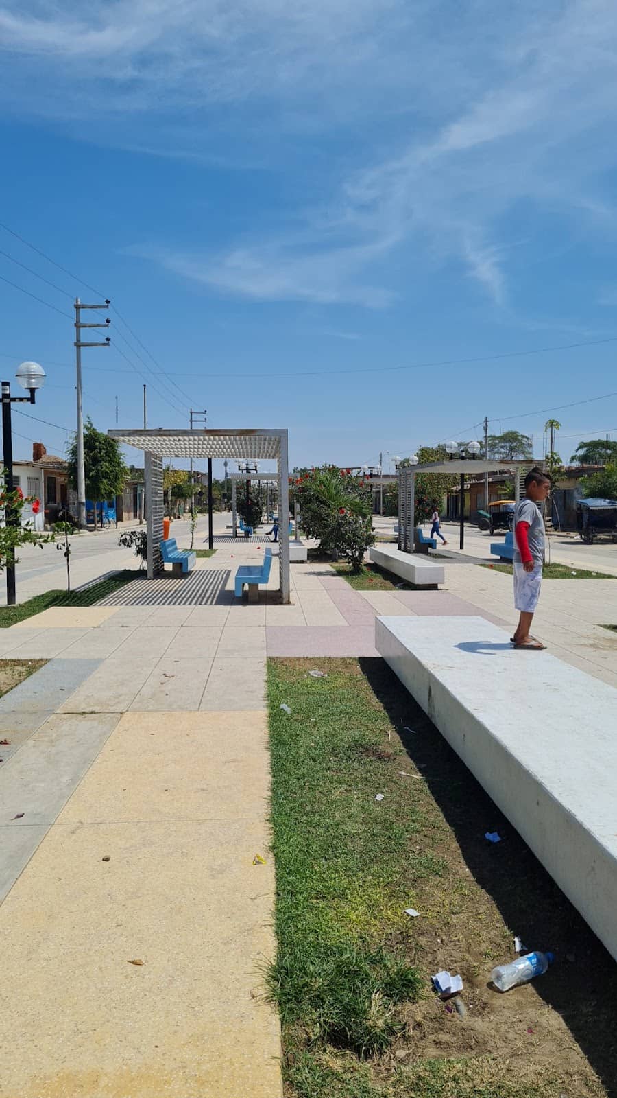 Northern Iced Clarito