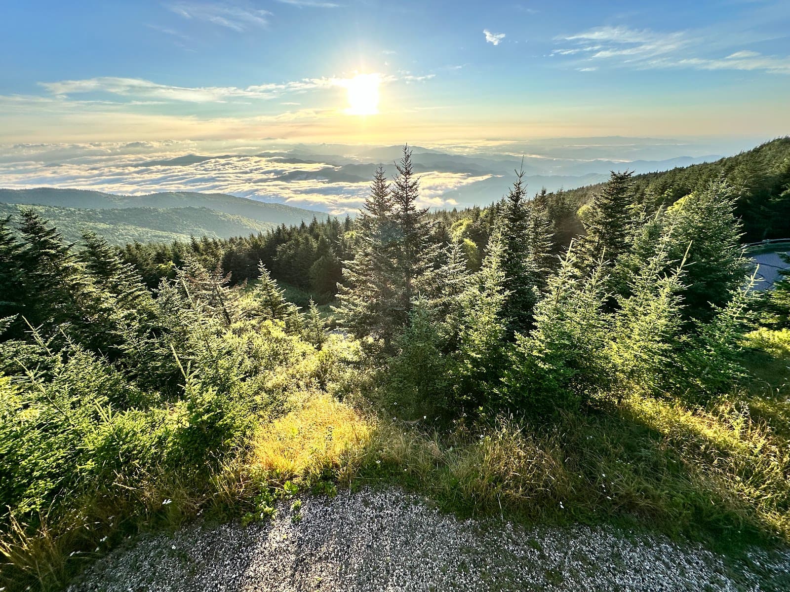 Mount Mitchell Scenic Byway - Image 1