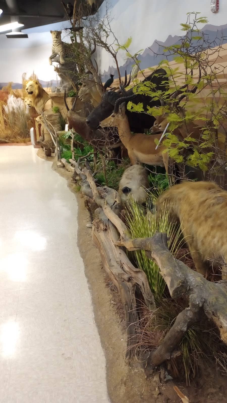 Fascinating Specimens