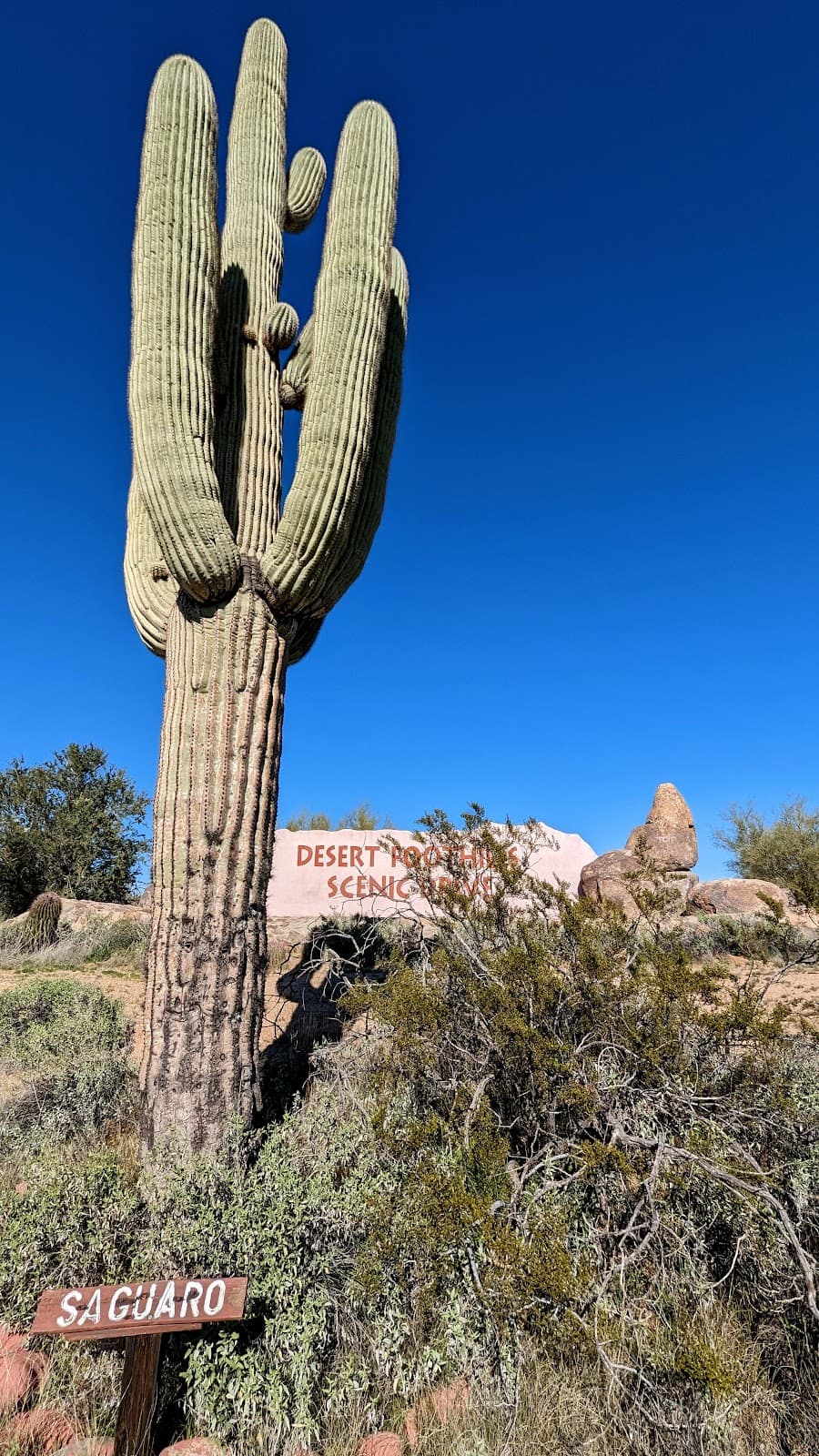 Desert Foothills Scenic Drive - Image 1