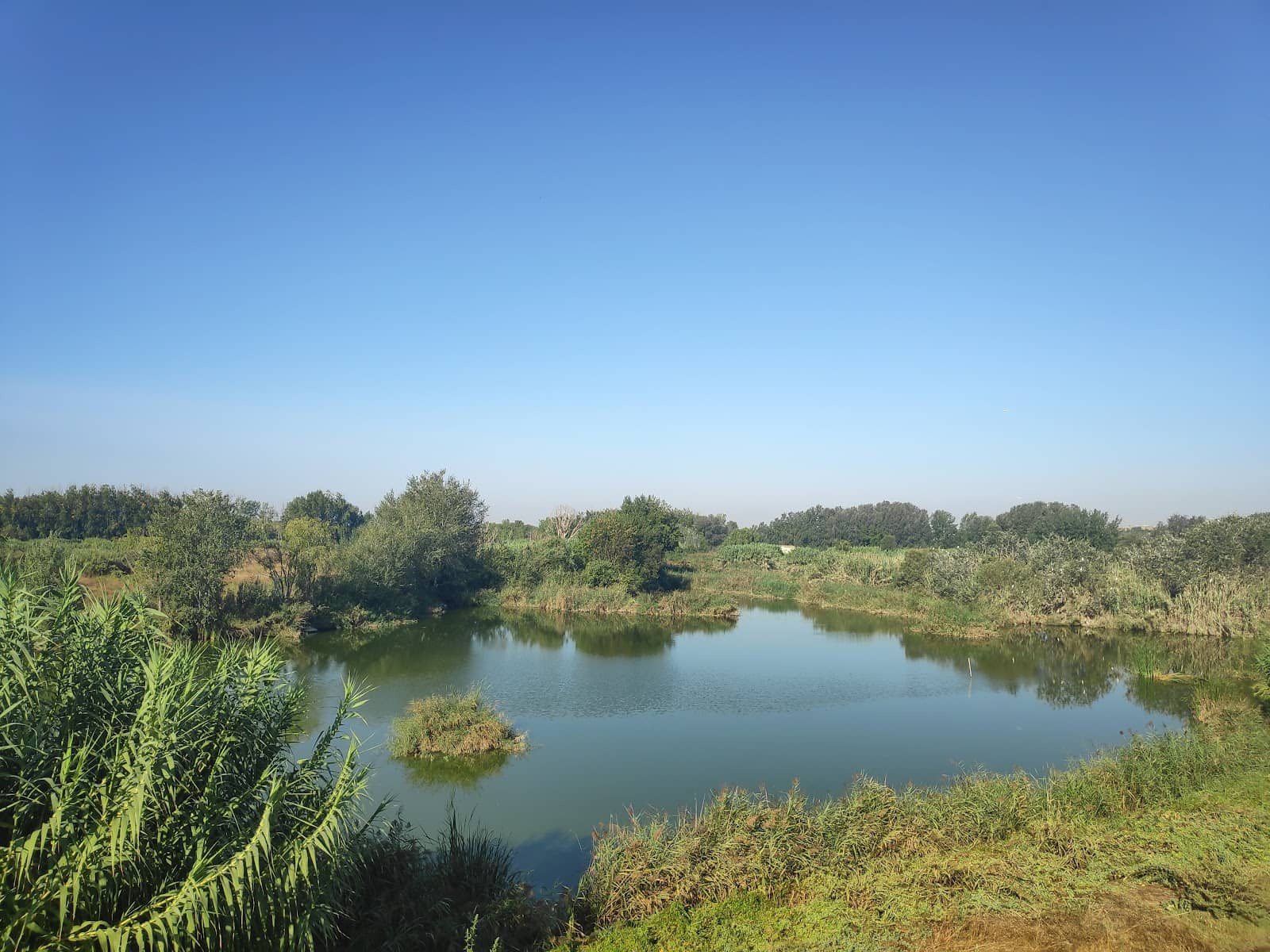 Family-Friendly Picnic Spots