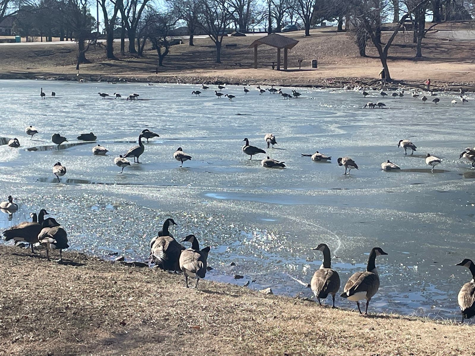 Jo Allyn Lowe Park - Image 1