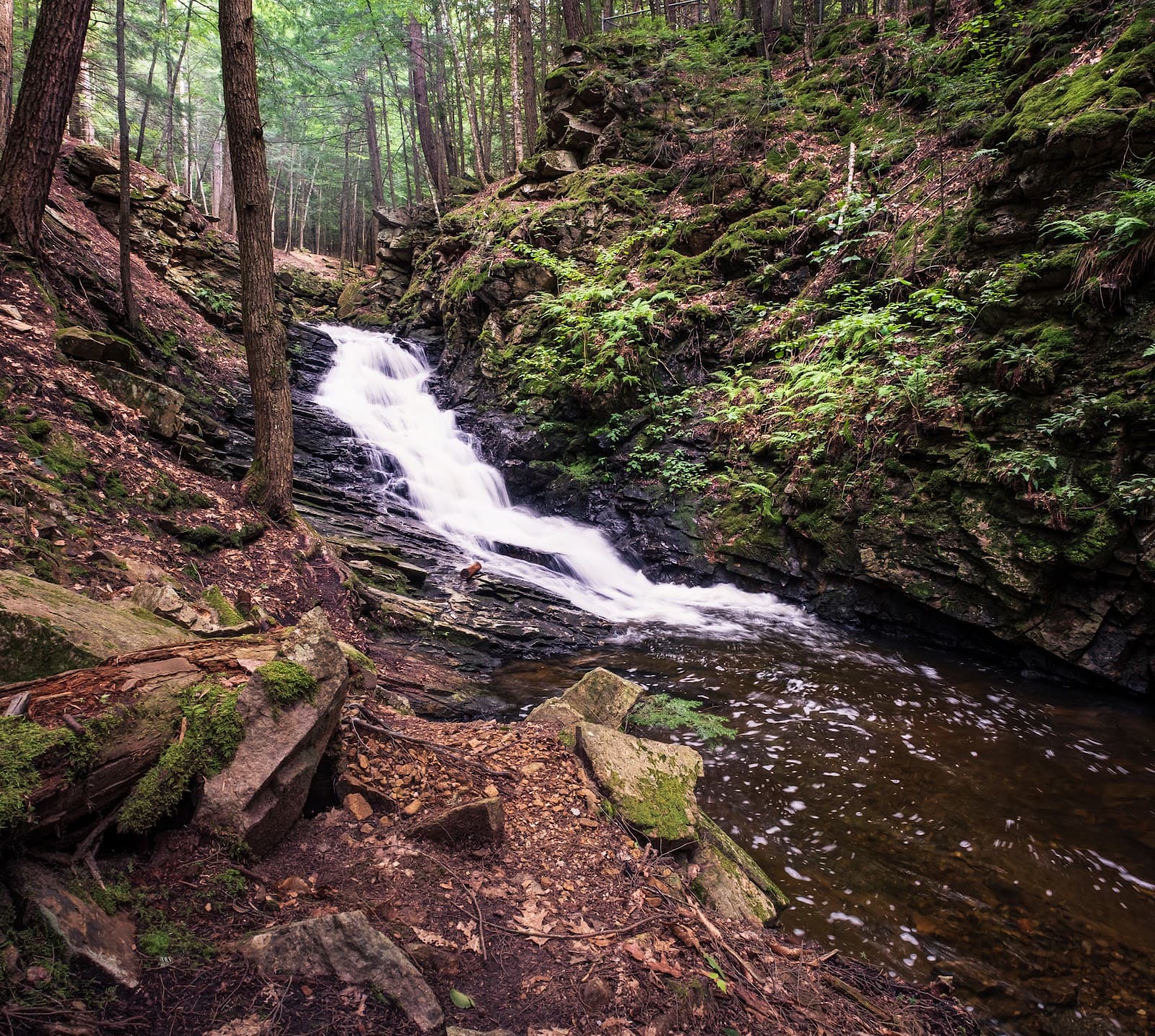 Chesterfield Gorge Natural Area - Image 1