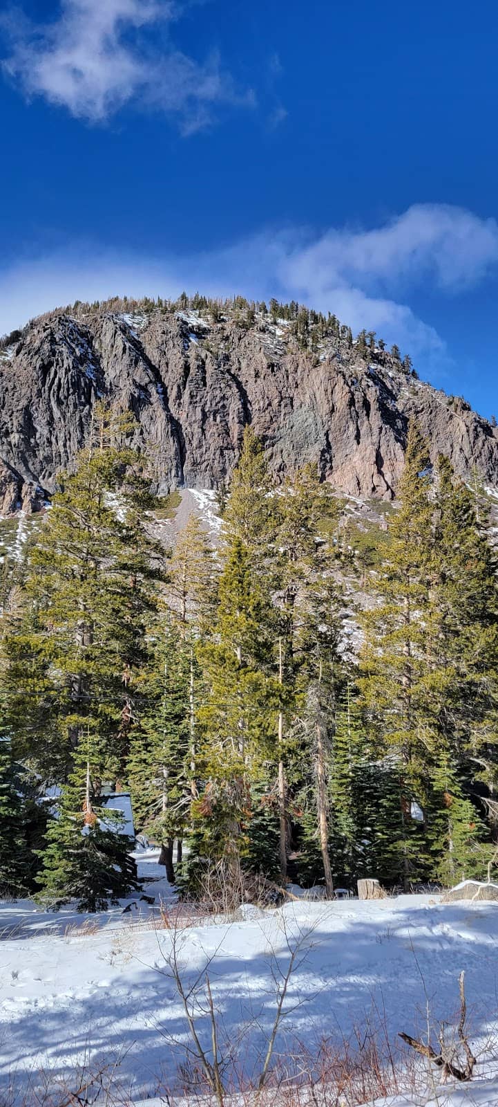 Glass Dome Cafe Views