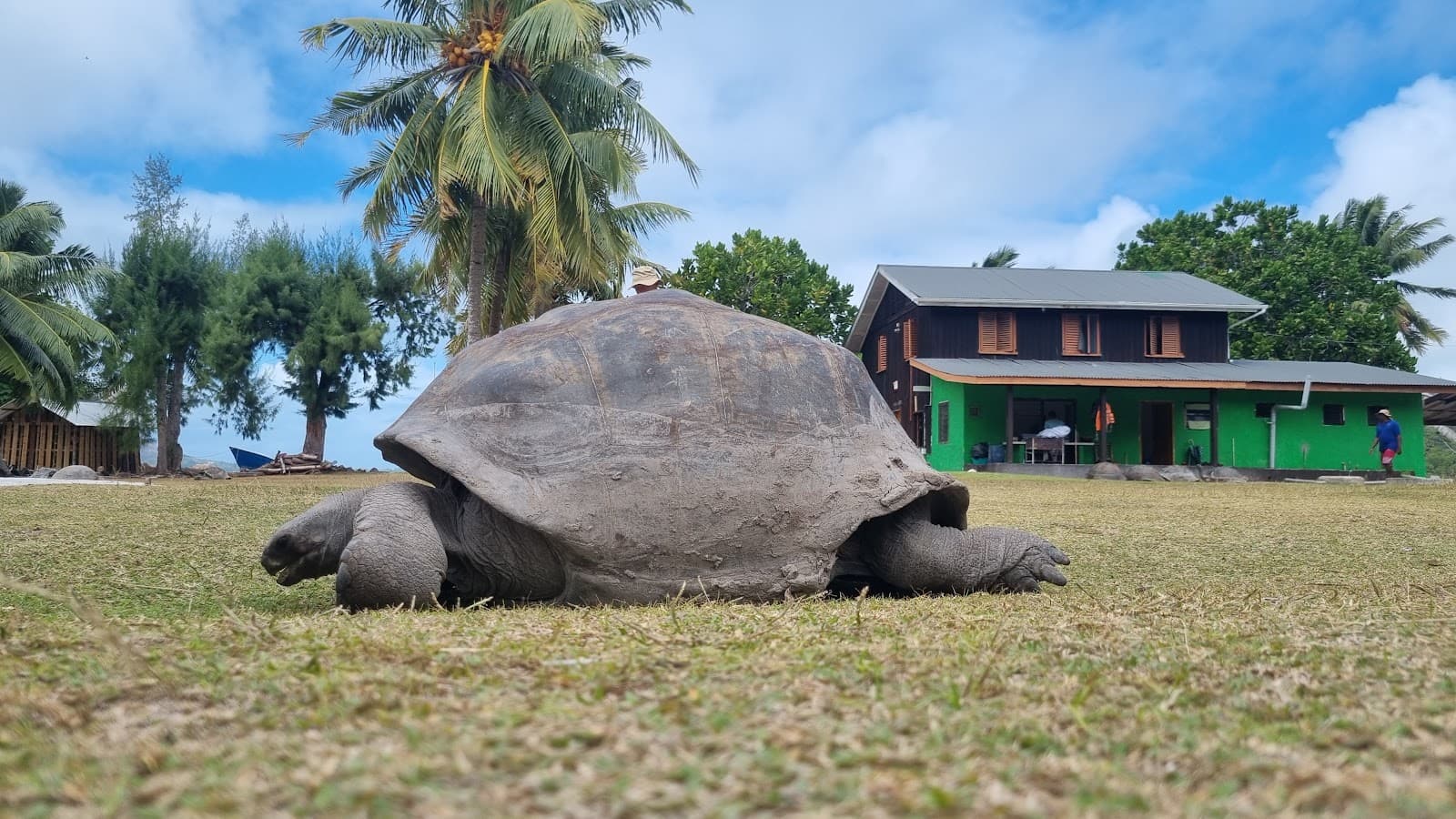 Curieuse Island & Tortoise Reserve - Image 1