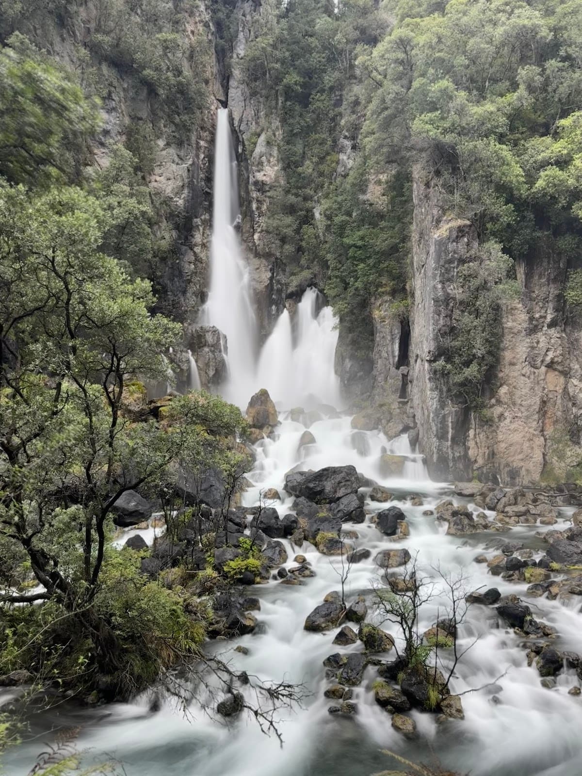 Tarawera Falls - Image 1