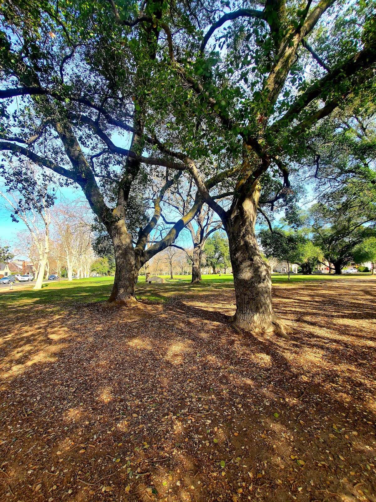 Curtis Park - Image 1