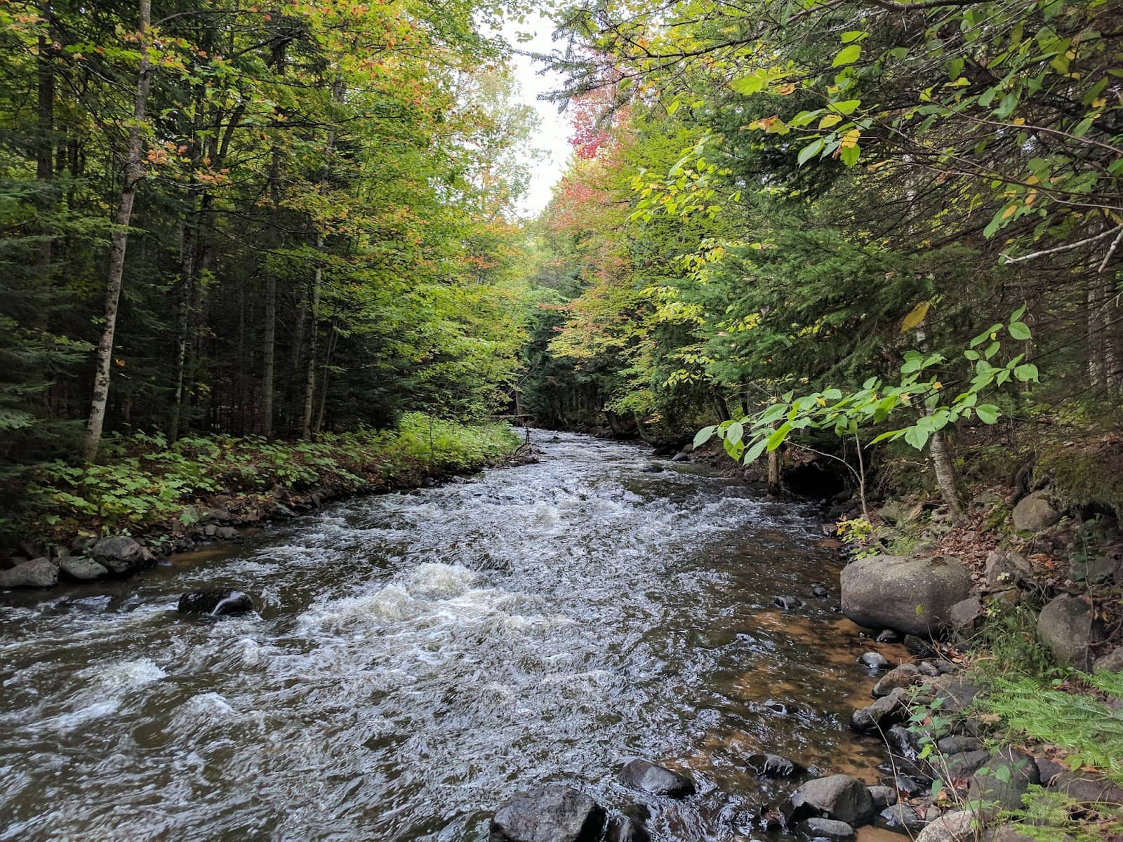 Dead River Corridors