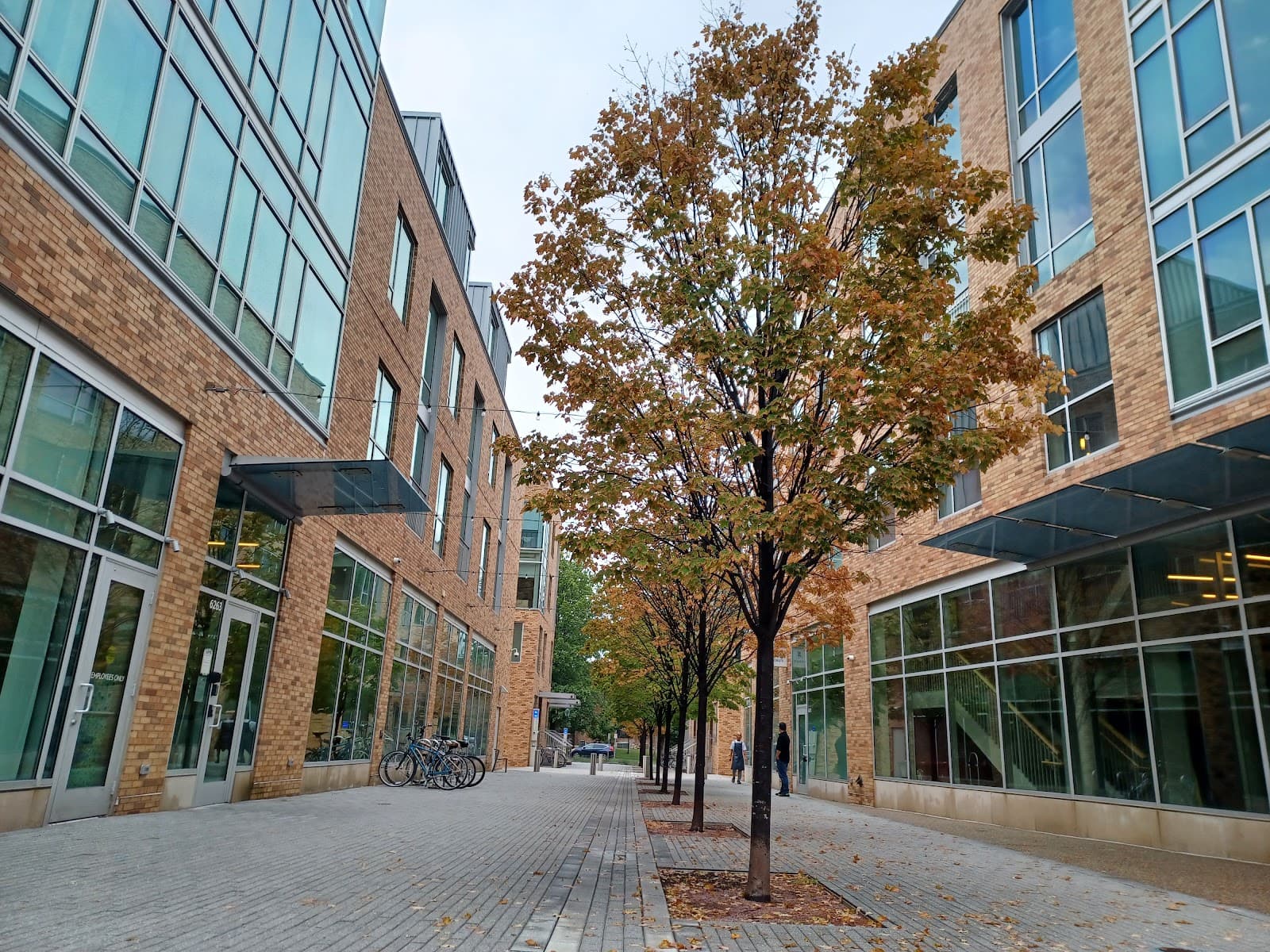 Delmar Loop St. Louis - Image 1