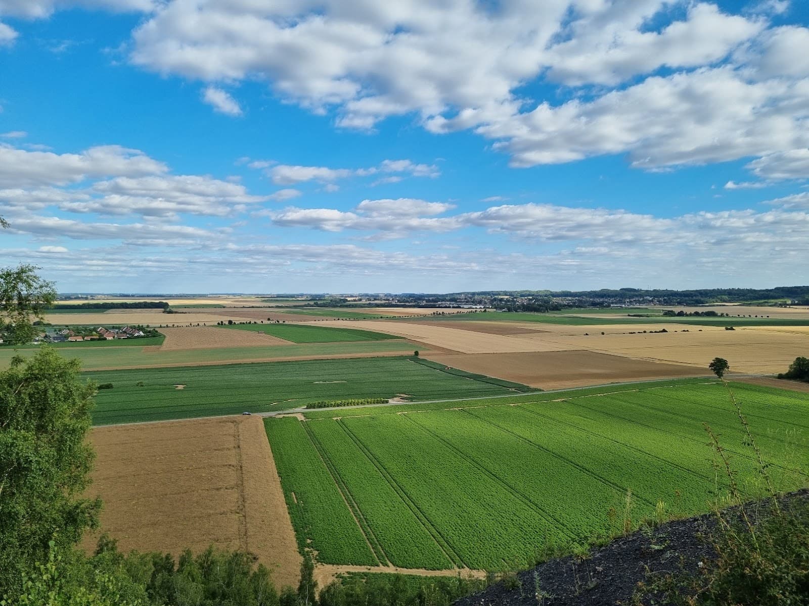 Pinchonvalles Slag Heap Nature Reserve - Image 1