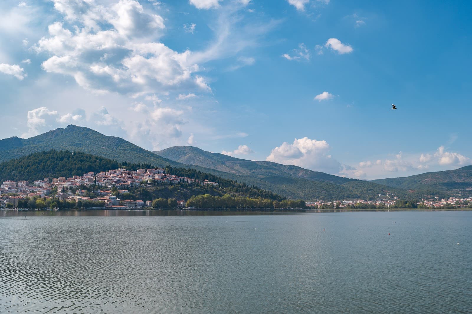 Lake Orestiada (Lake Kastoria) - Image 1