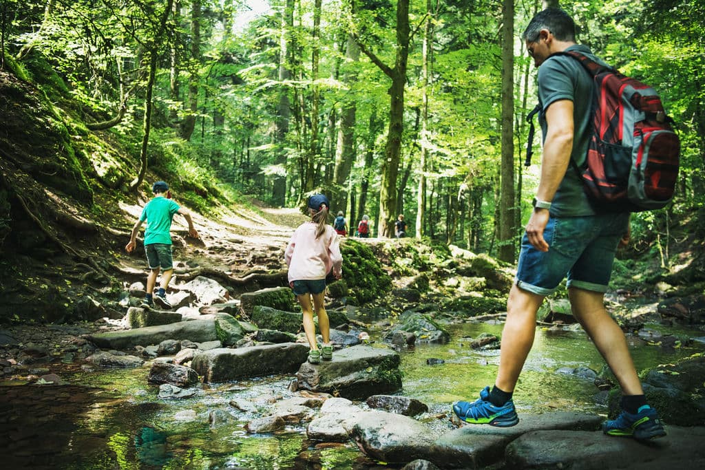 Monbachtal Gorge - Image 1