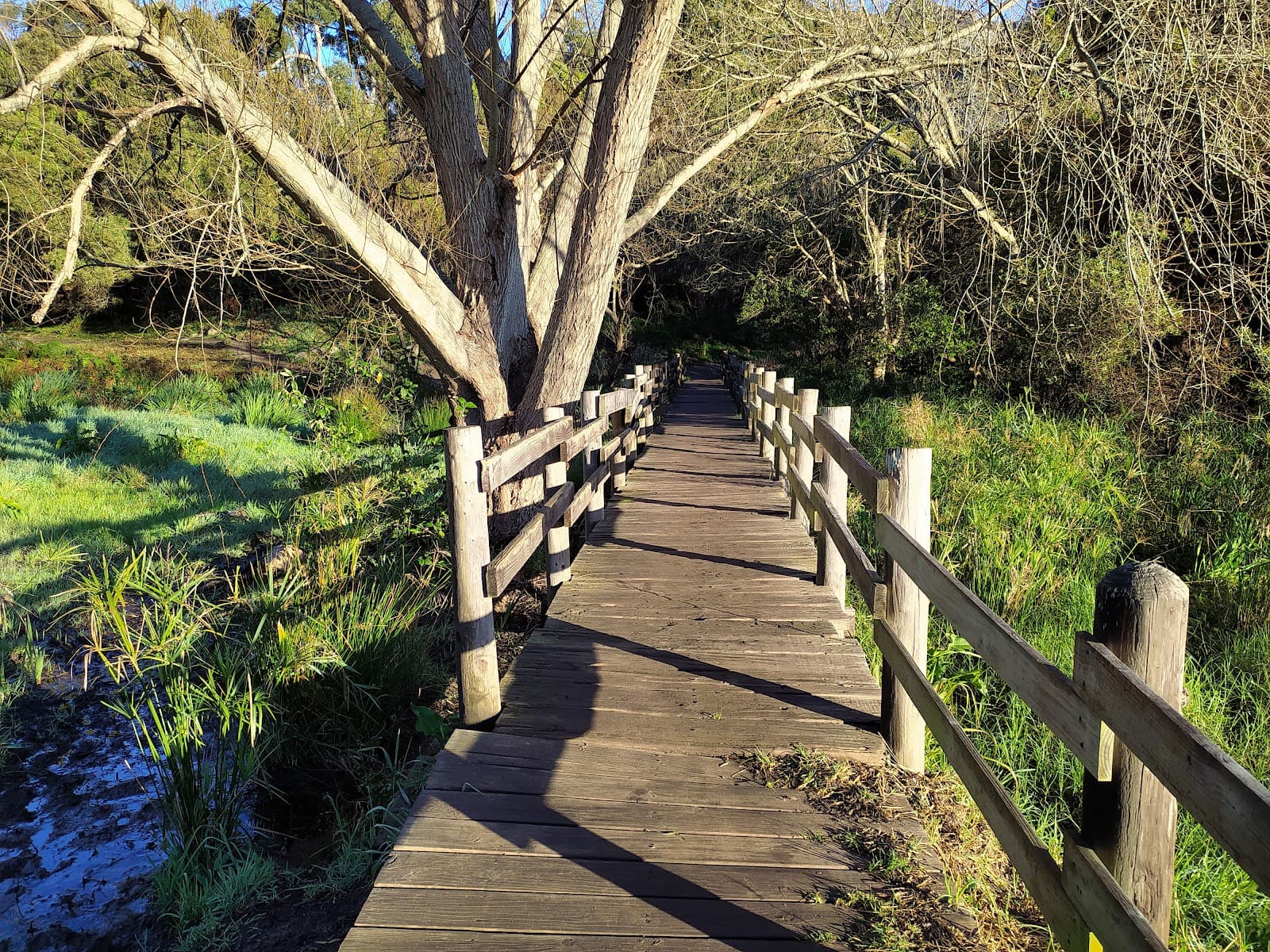 Diep River Trail - Image 1