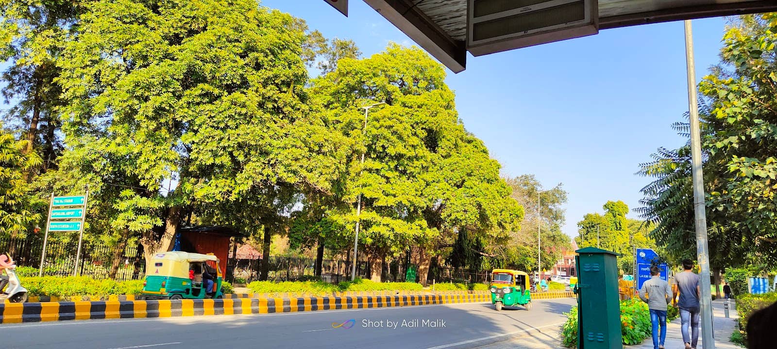 Home Decor Treasures