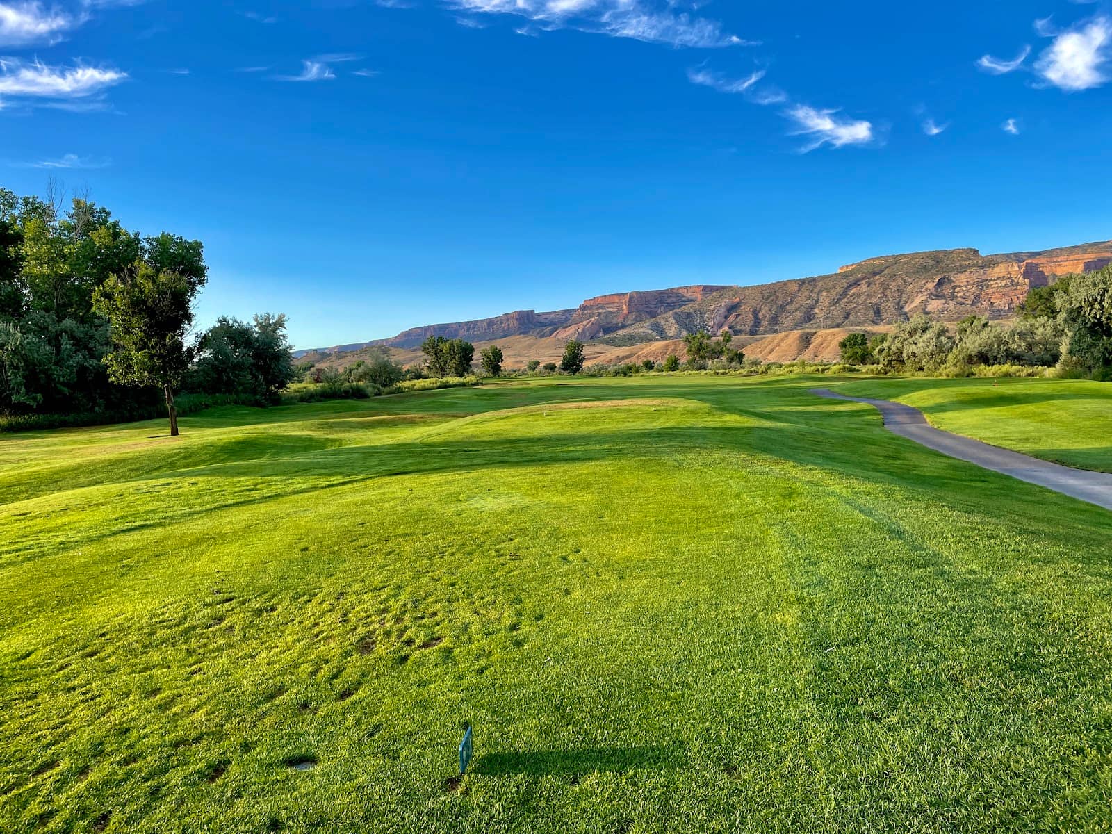 Well-Maintained Greens