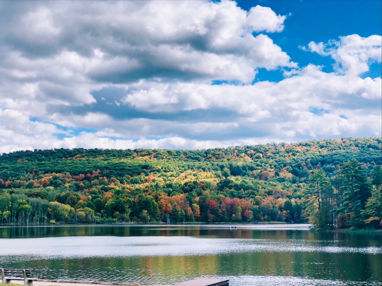 Colyer Lake - Image 1