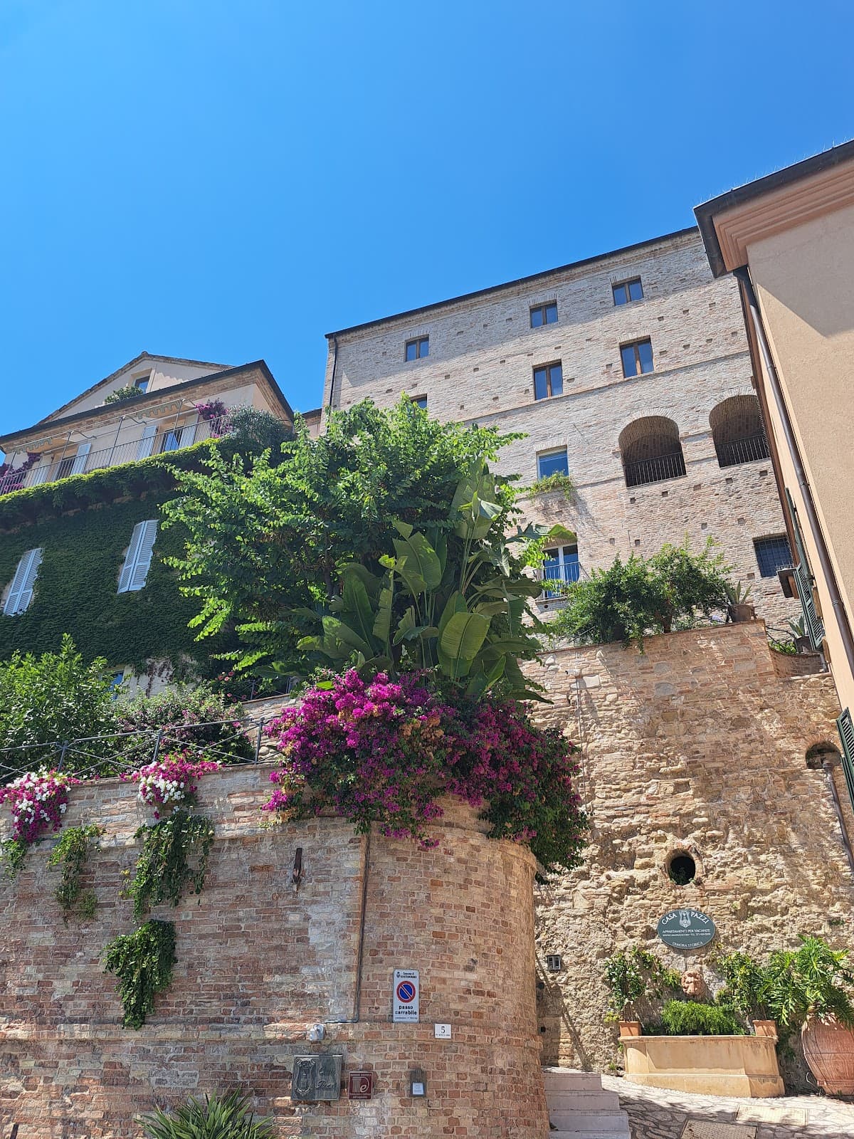 Museo del Tarpato - Image 1