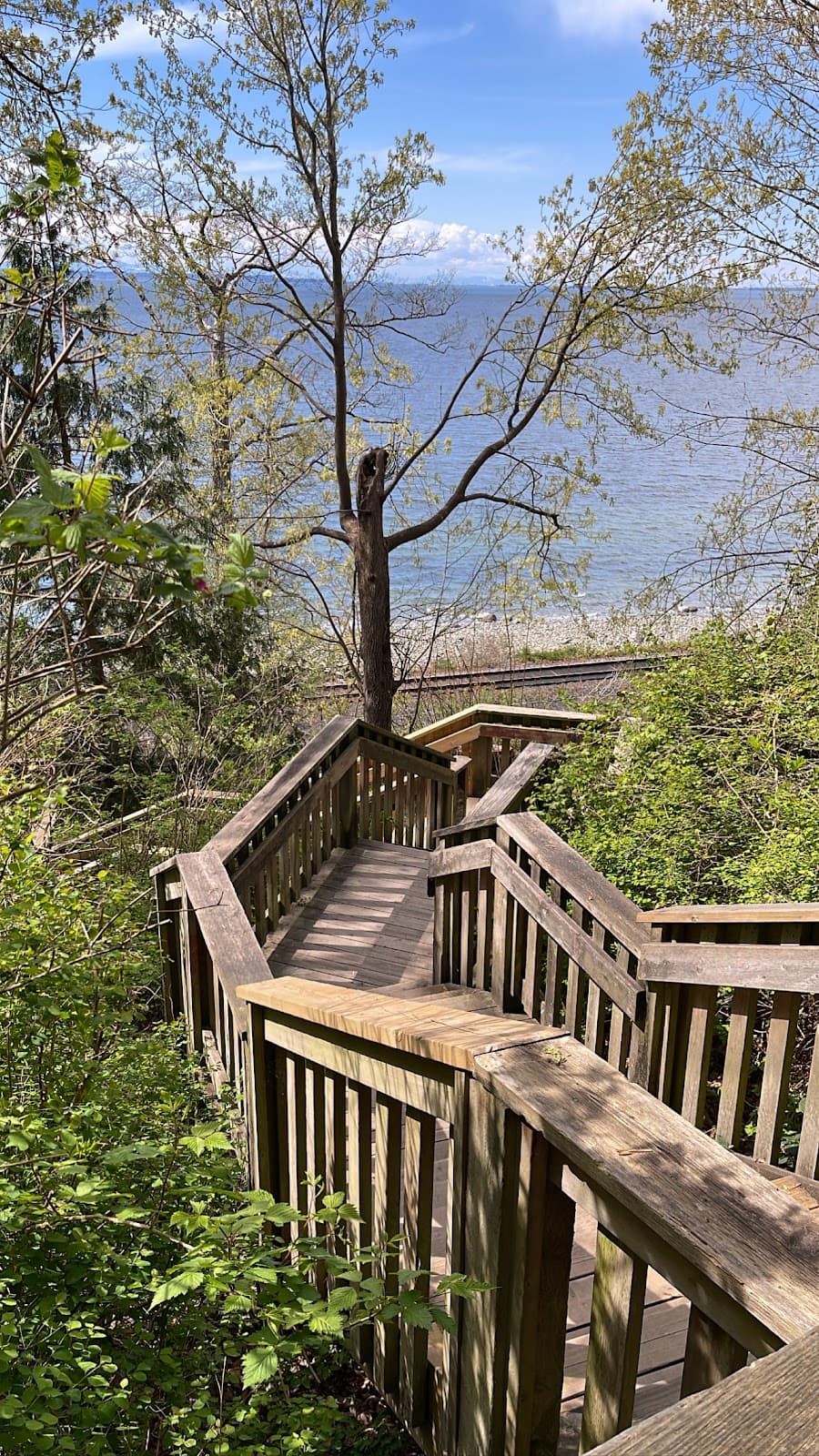 White Rock Stairs (Hillside Steps) - Image 1