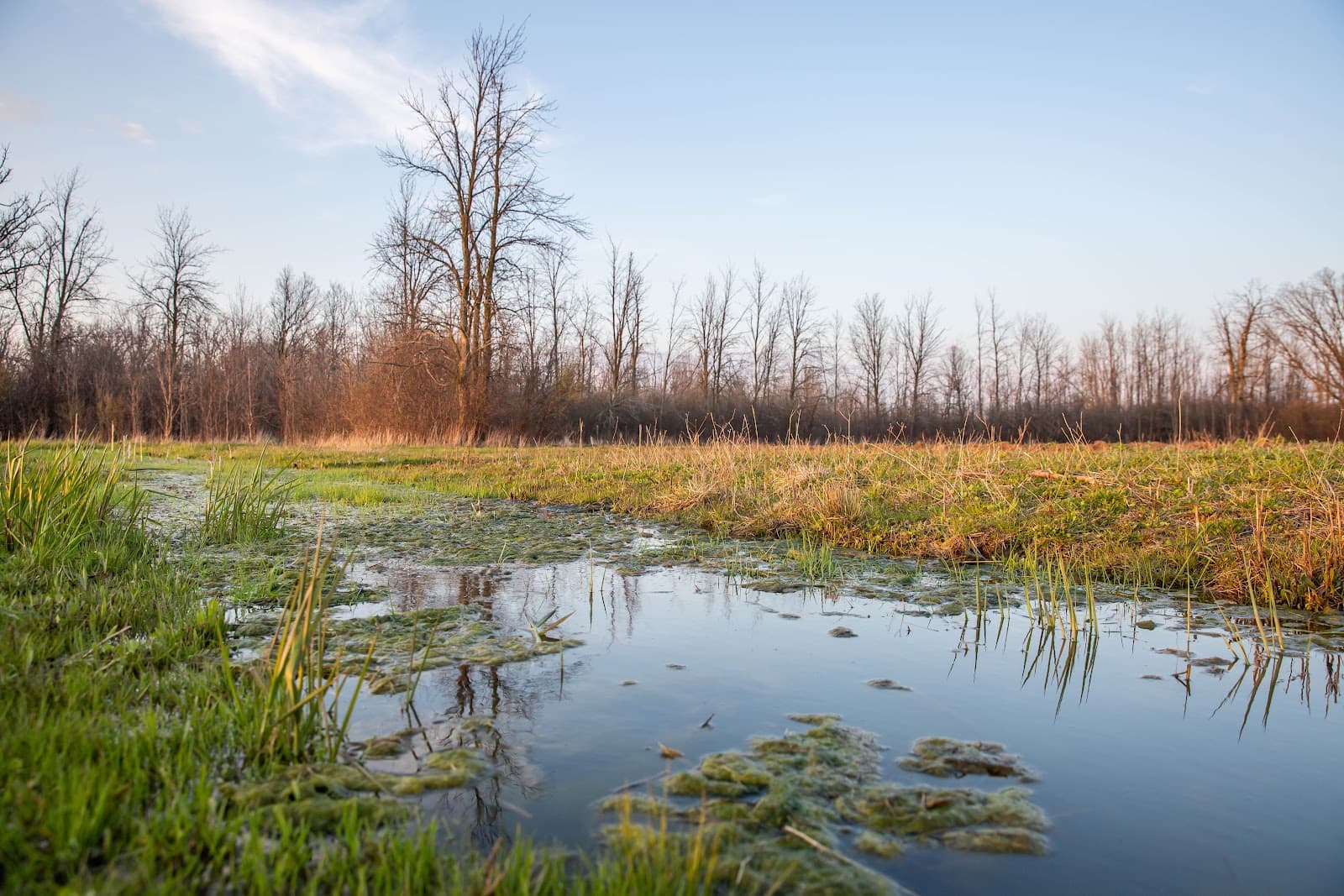 Saltfleet Conservation Area - Image 1