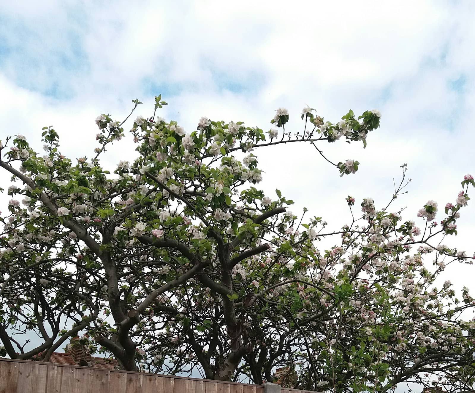 Vertical photo