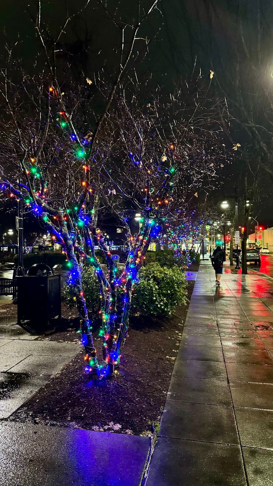 Piazza Park - Image 1