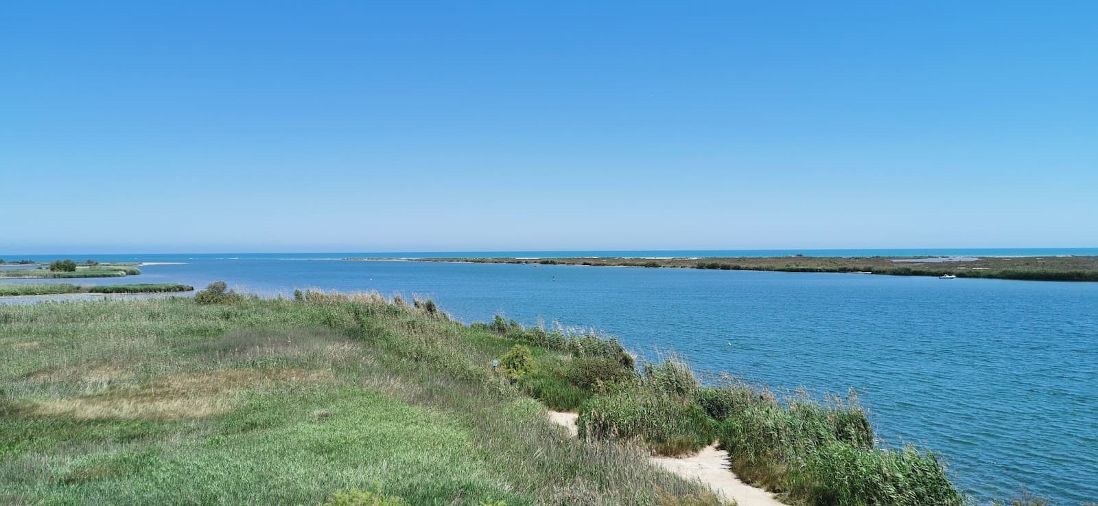 Platja dels Eucaliptus - Image 1