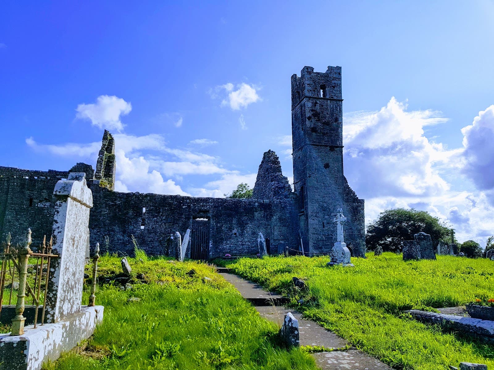 Mungret Abbey Limerick - Image 1