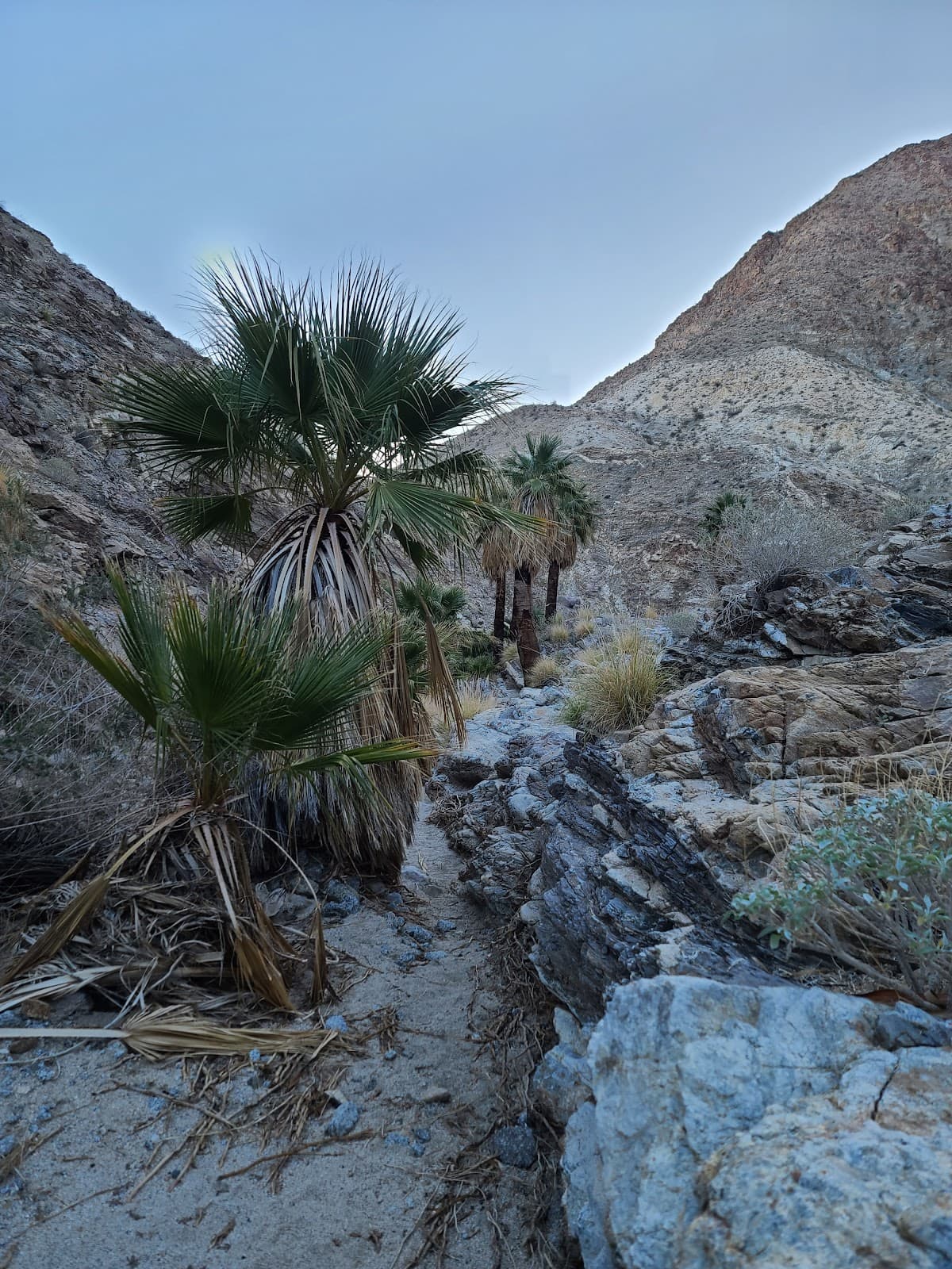 Magnesia Falls Canyon Trail - Image 1
