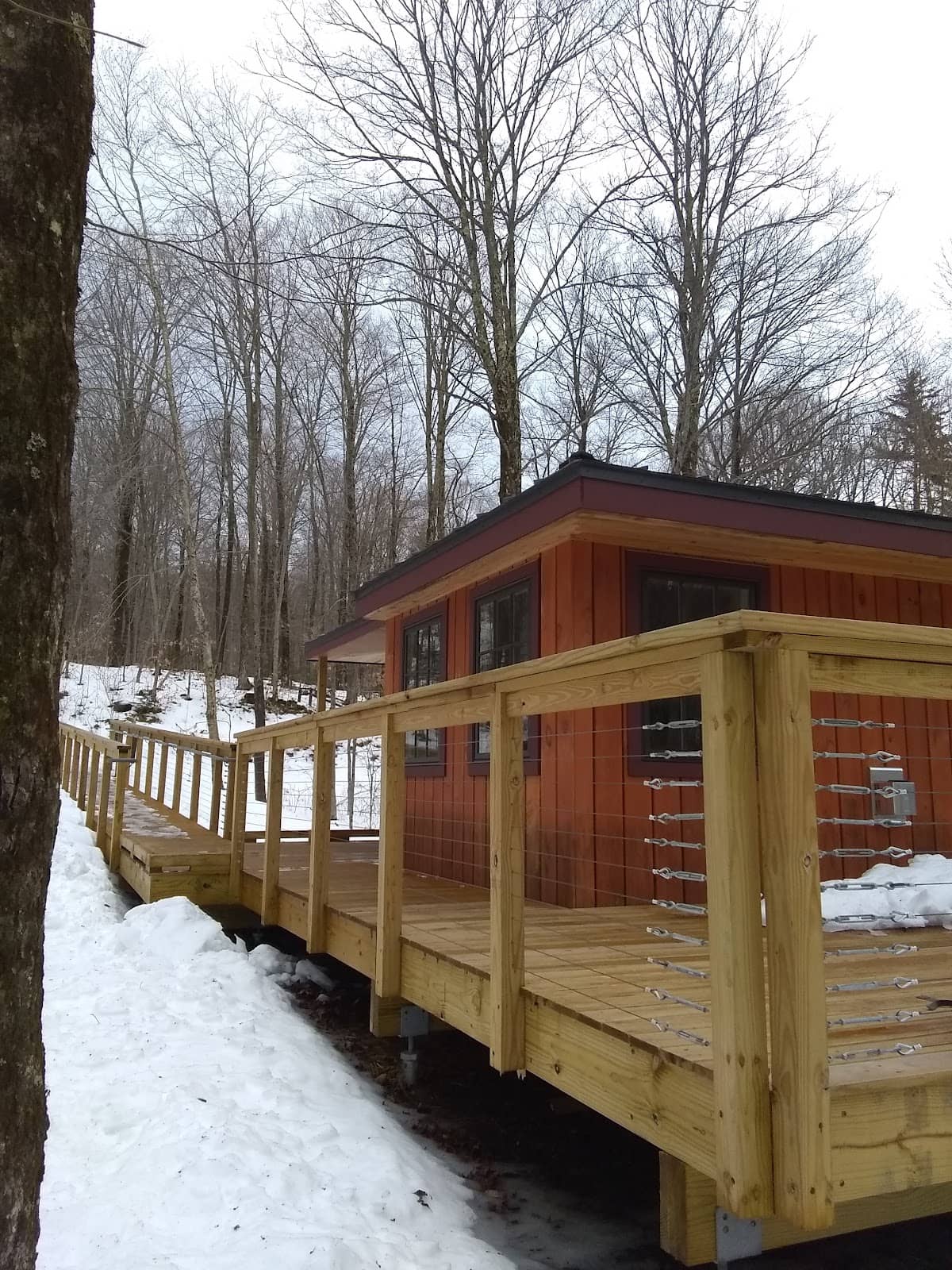 Autumn Foliage Spectacle