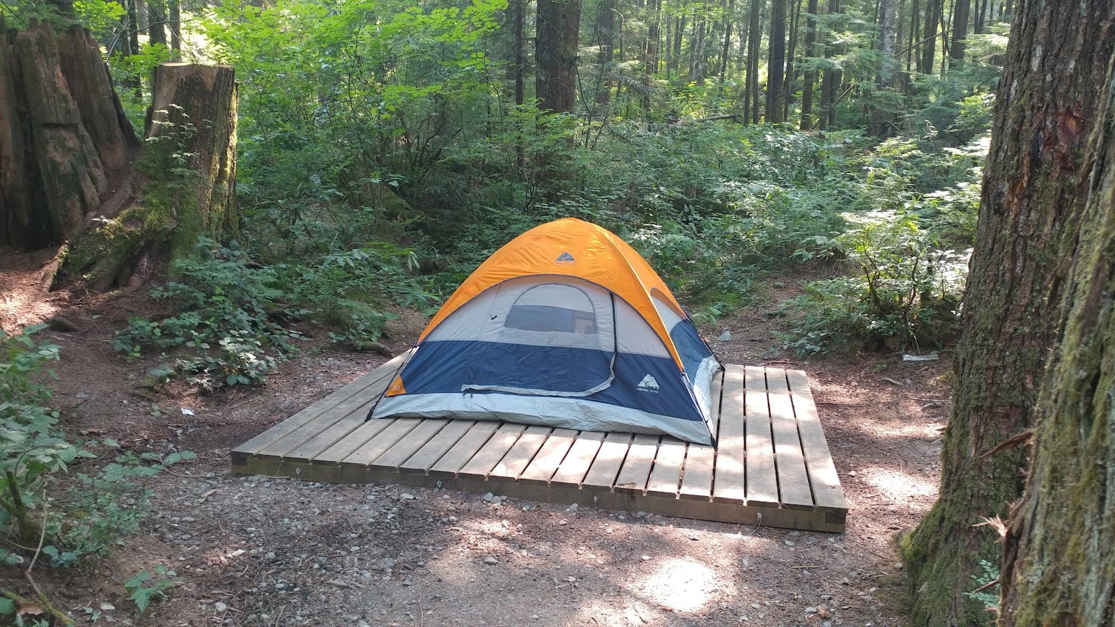 Sayres Lake Recreation Site - Image 1