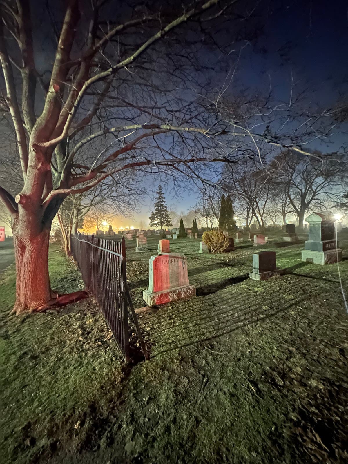 Cawthra Road and Dundas Street - Image 1