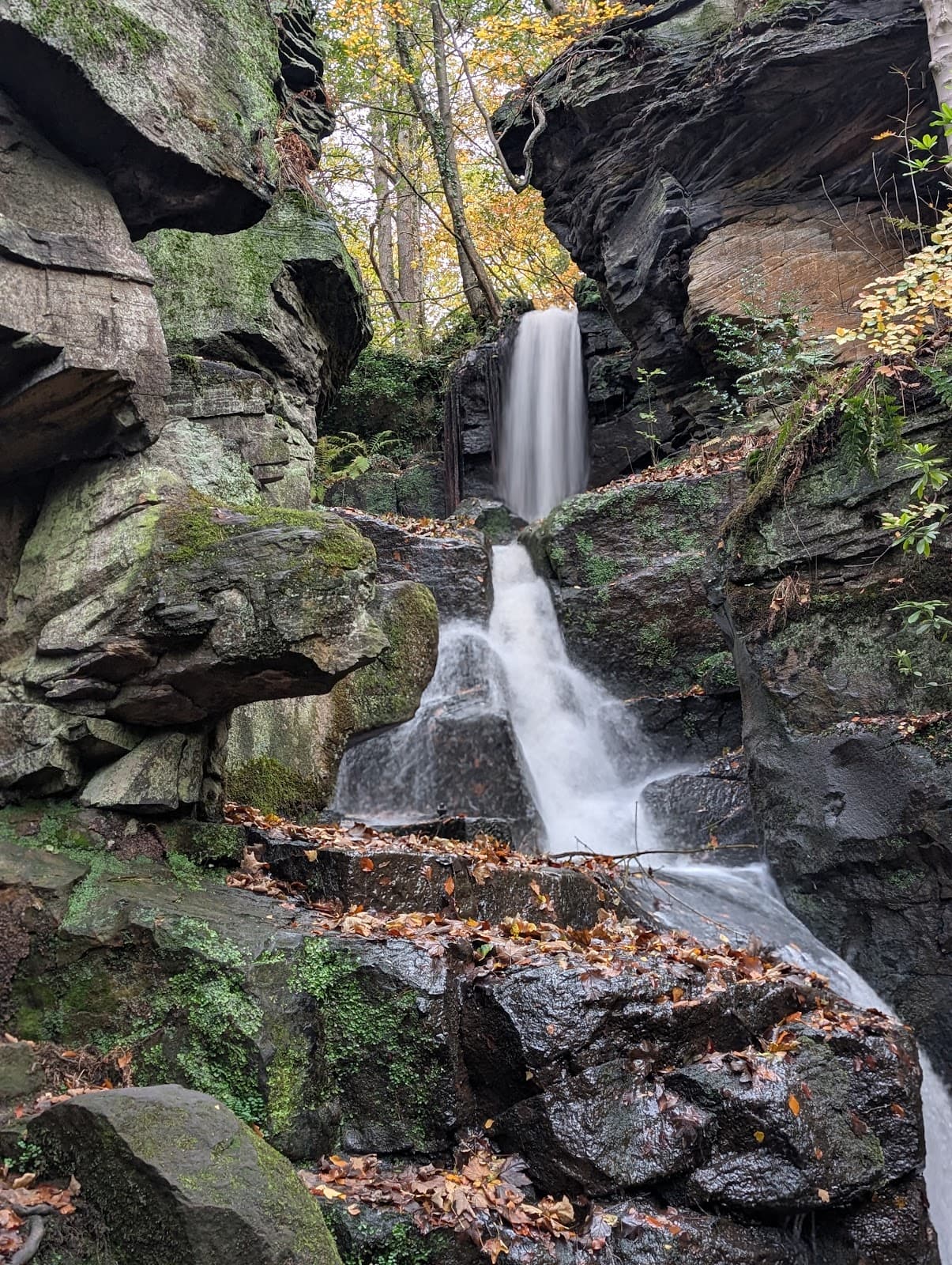 Lumsdale Valley Matlock - Image 1